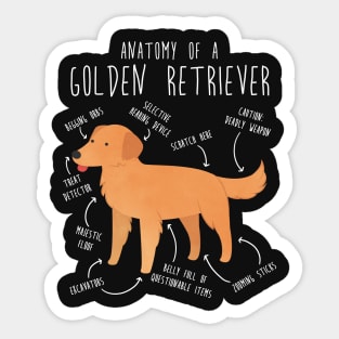 Golden Retriever Anatomy Sticker